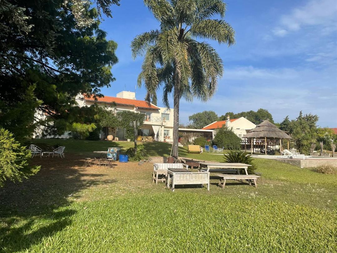 Exterior con palmera