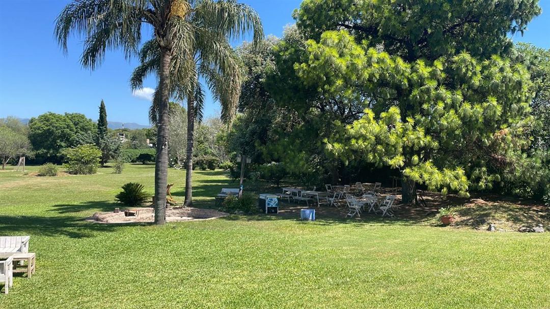 Parque con palmeras