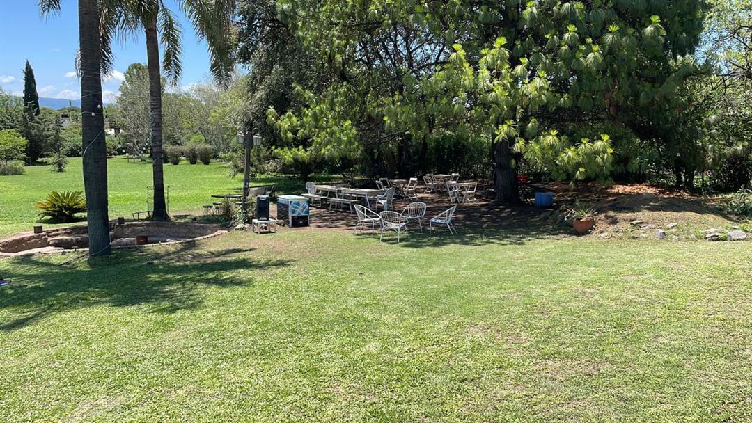 Sector de mesas en el parque