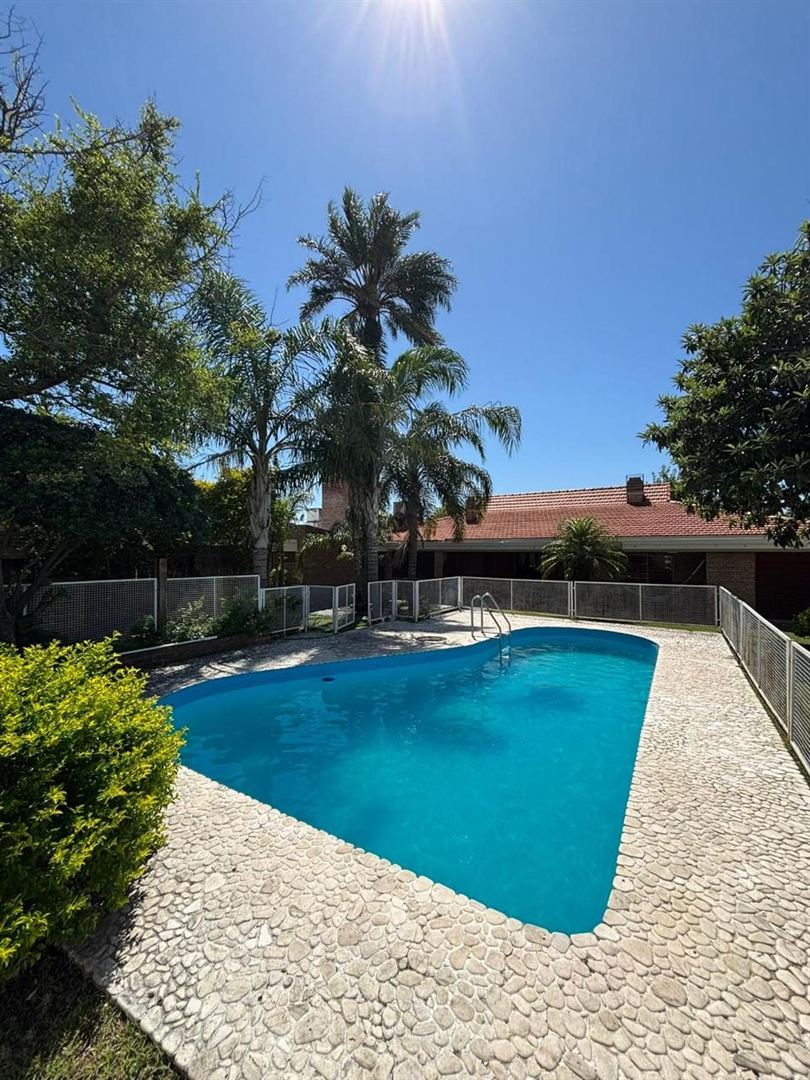 Patio con palmera y hamaca