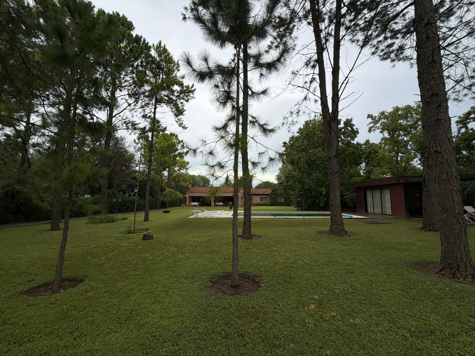 Jardín con pinos y piscina